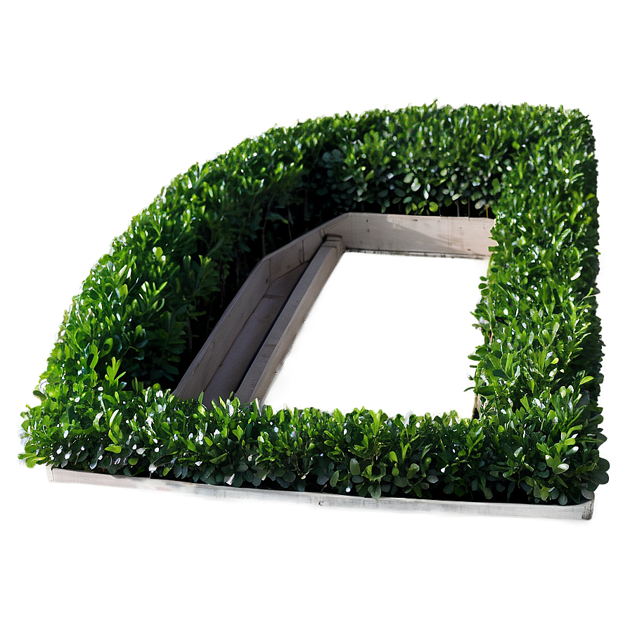 Artificial Boxwood Png Ckr