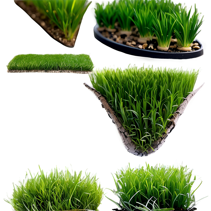 Artificial Green Grass Png 06262024