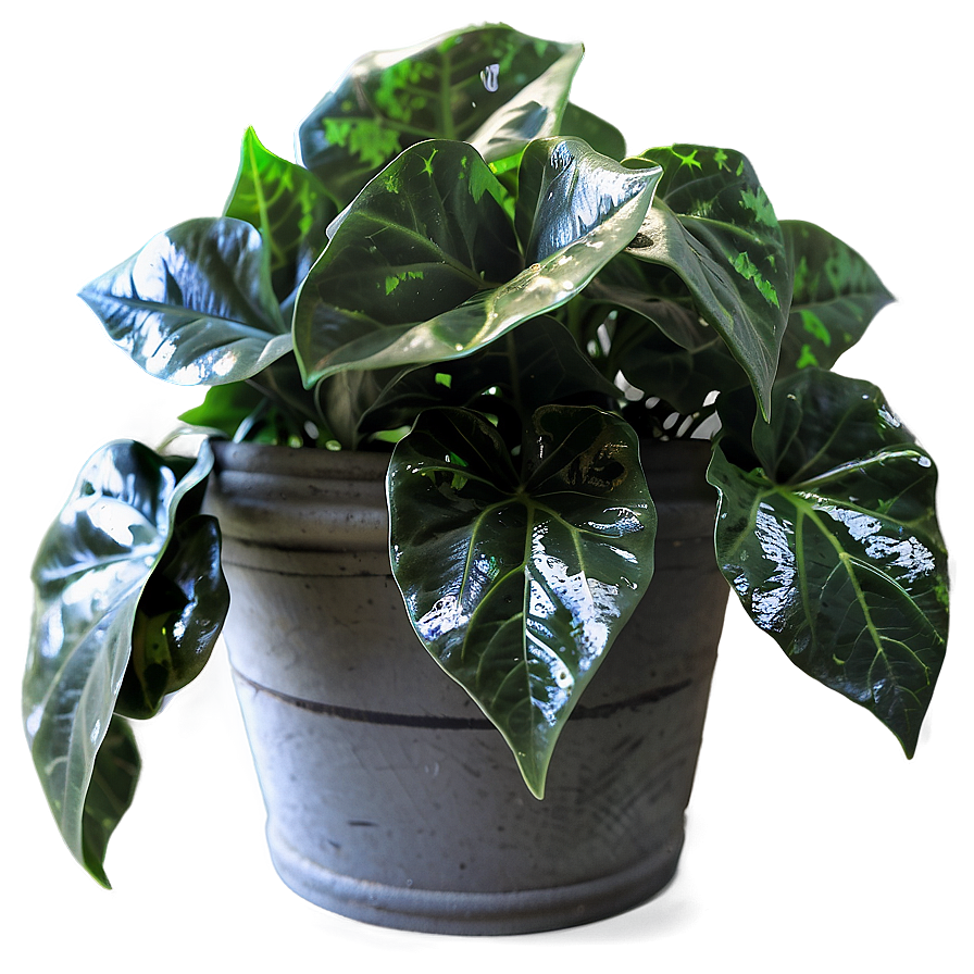 Artificial Ivy Plant Png Fyi