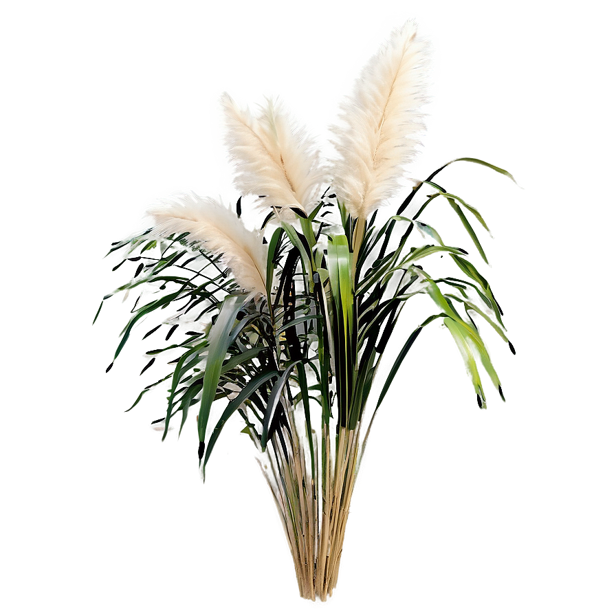 Artificial Pampas Grass Png 06122024