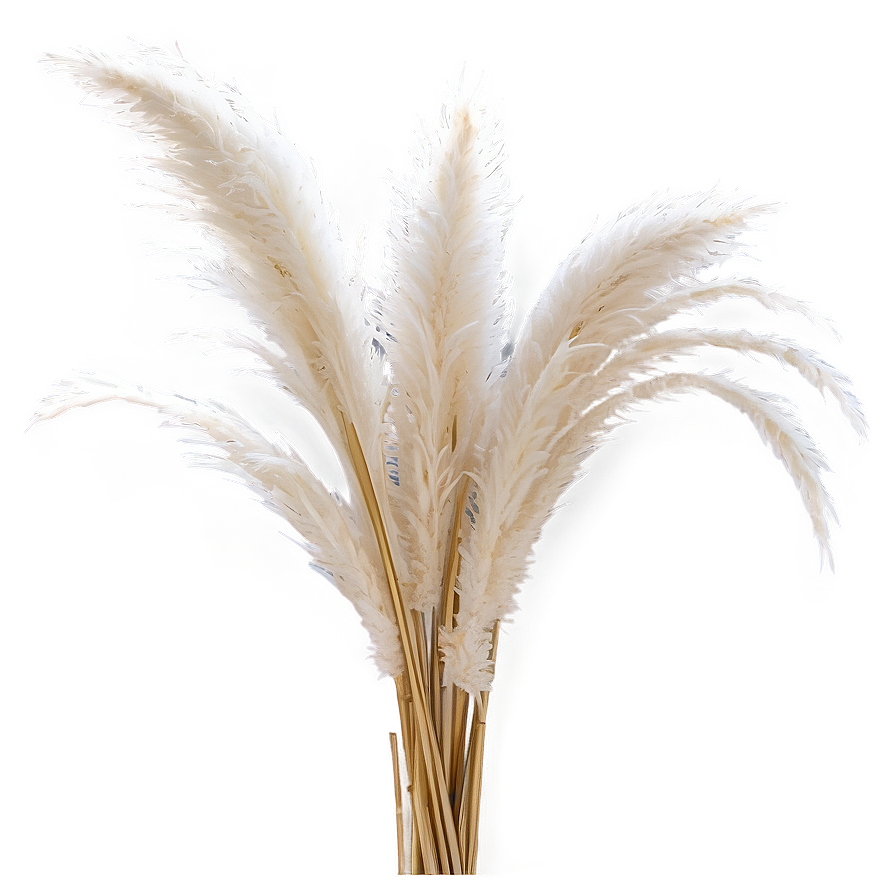 Artificial Pampas Grass Png 06122024