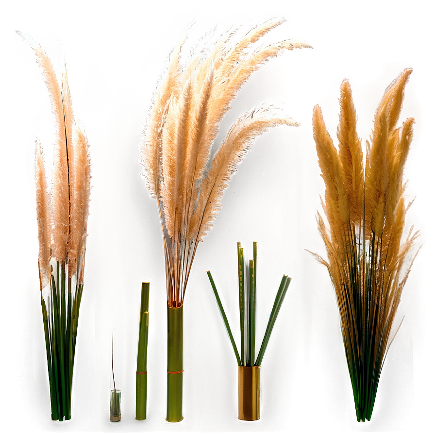 Artificial Pampas Grass Png Epk