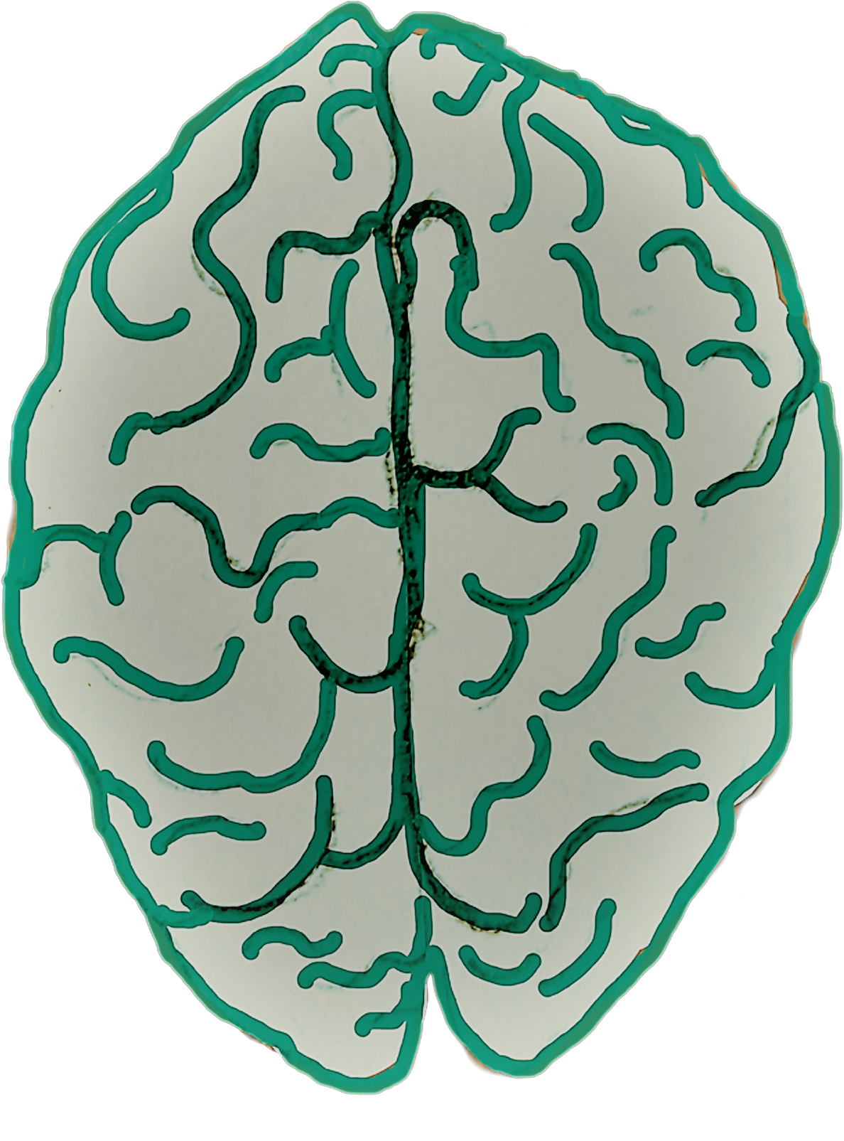 Artistic Brain Illustration.png