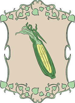 Artistic Corn Ear Frame Illustration