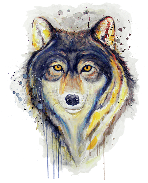 Artistic Wolf Portrait Watercolor