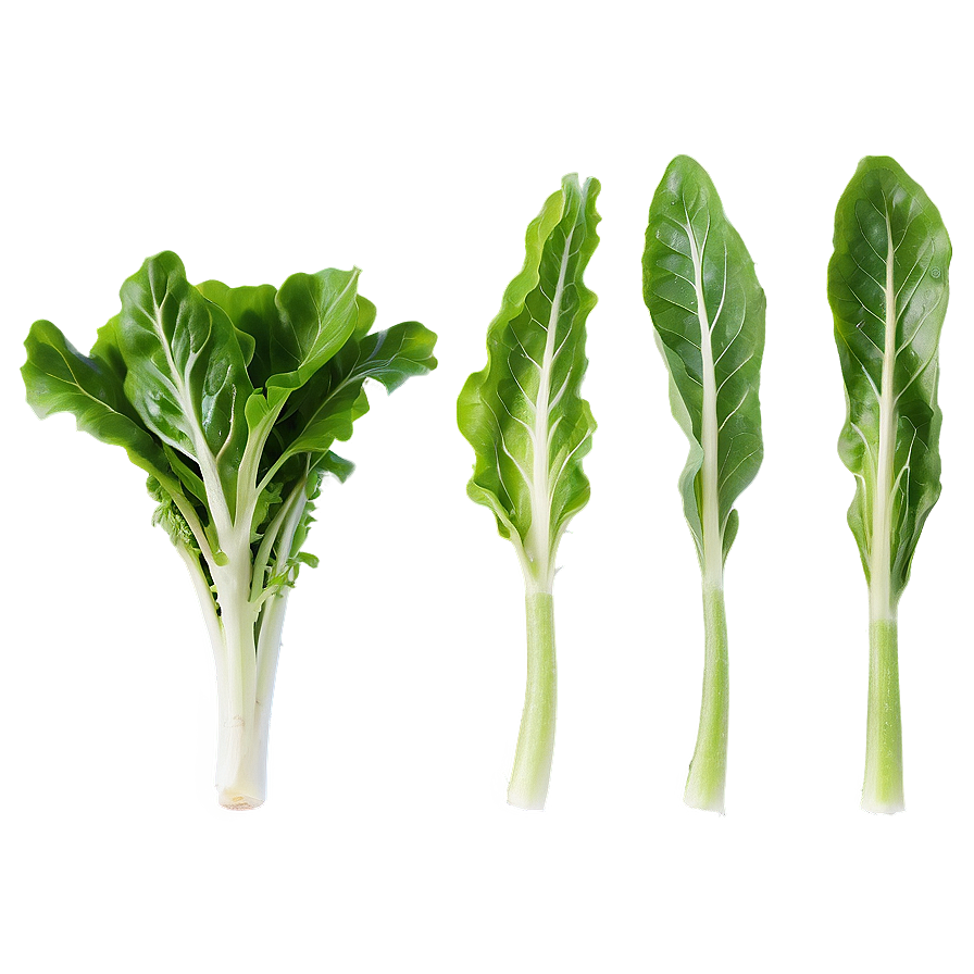 Arugula Lettuce Png Bys