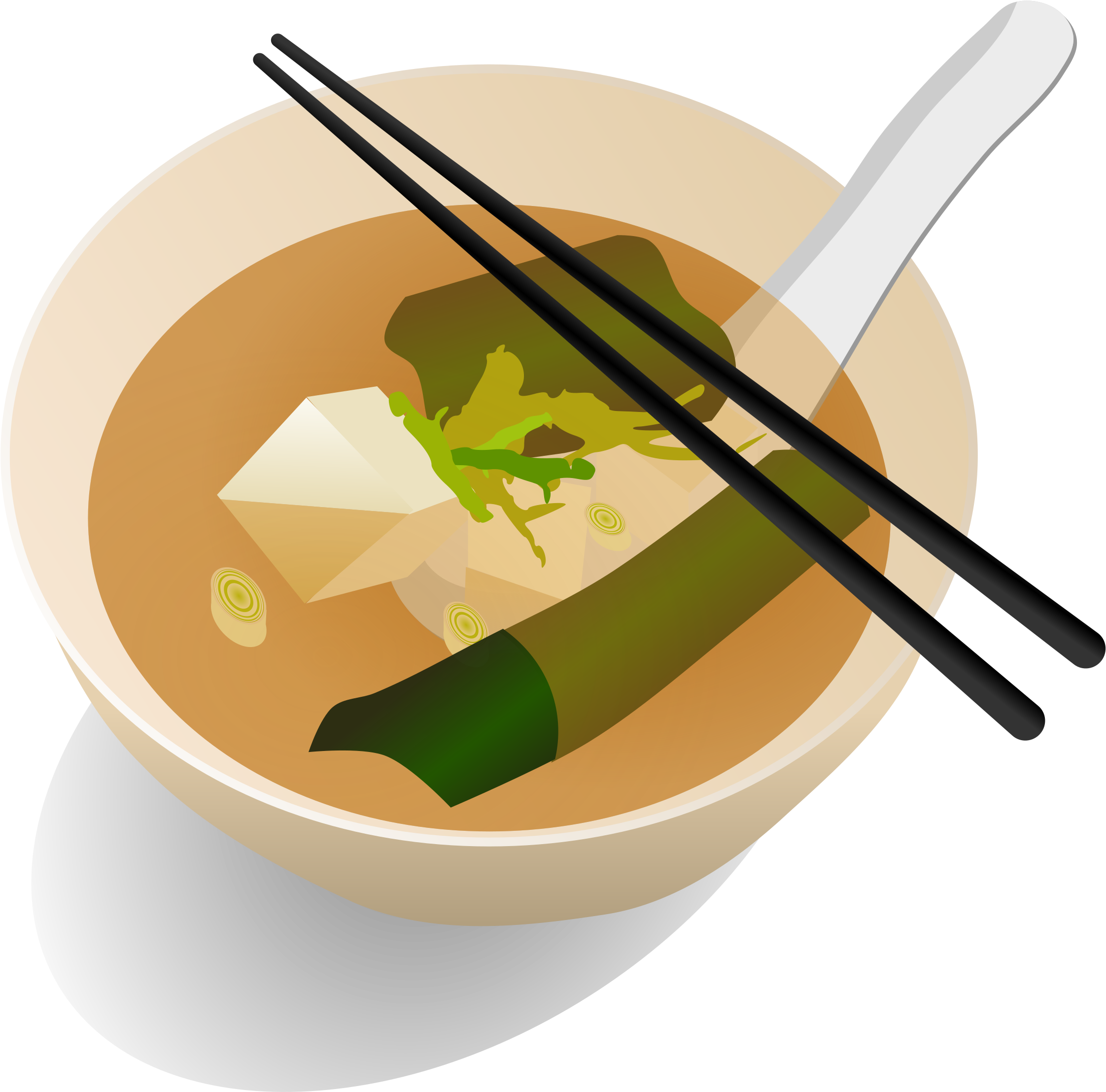 Asian Vegetable Soup Illustration.png