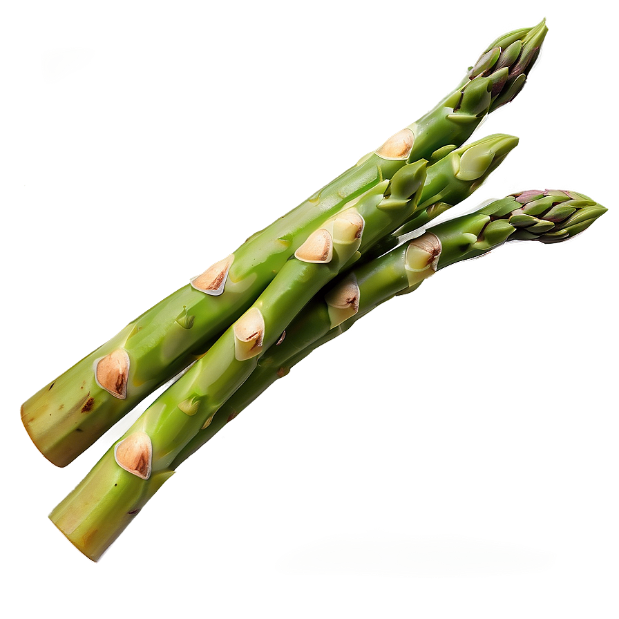 Asparagus B