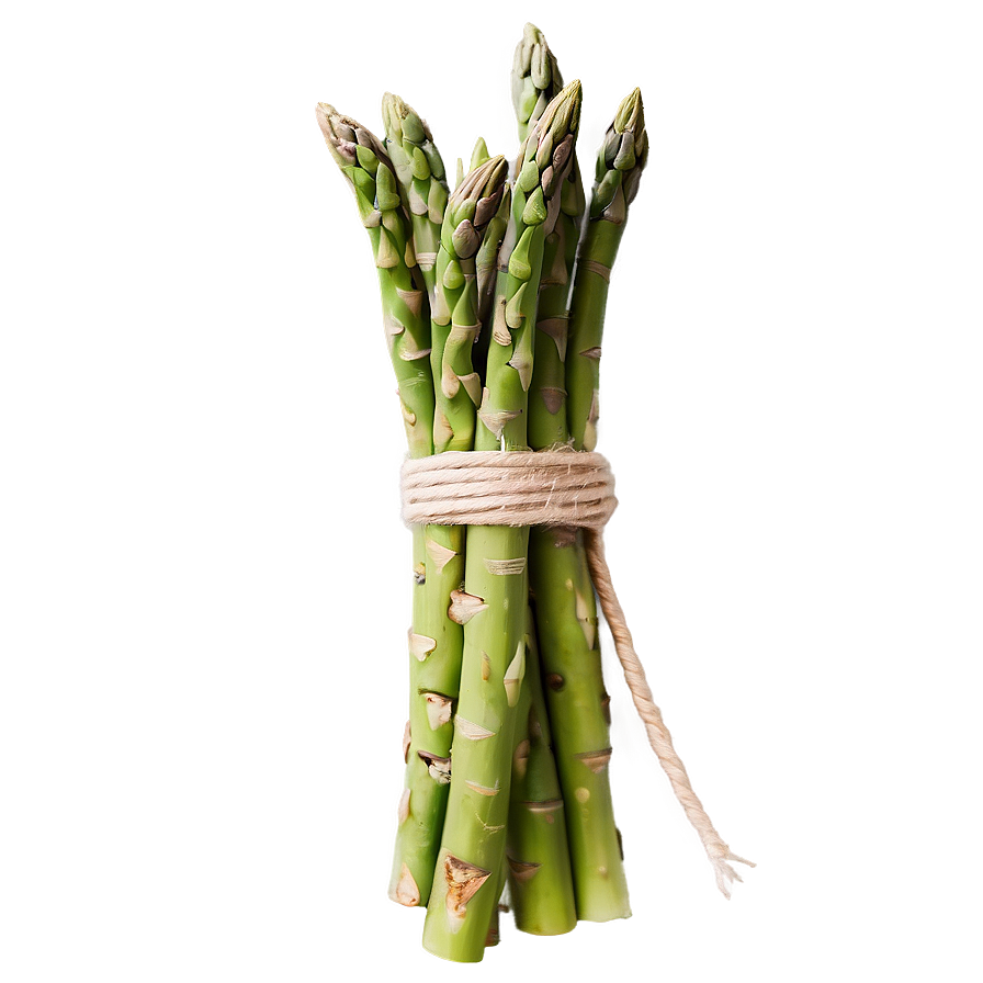 Asparagus Bundle Tied With Twine Png 06122024