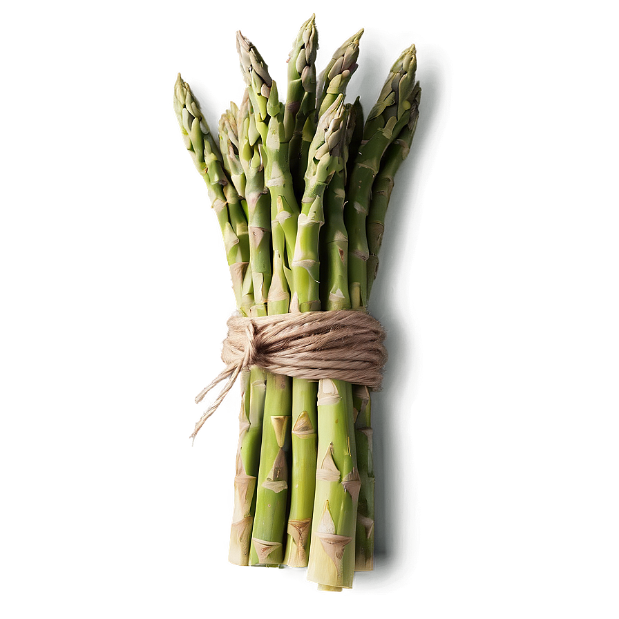 Asparagus Bundle Tied With Twine Png 25