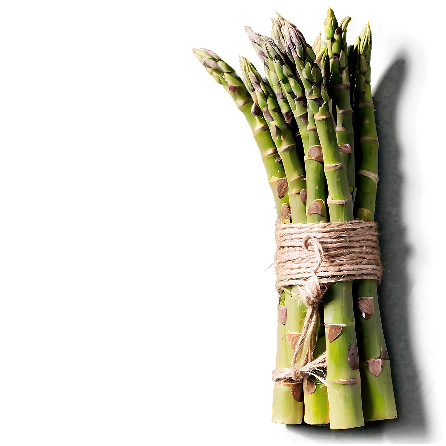 Asparagus Bundle Tied With Twine Png Vlg