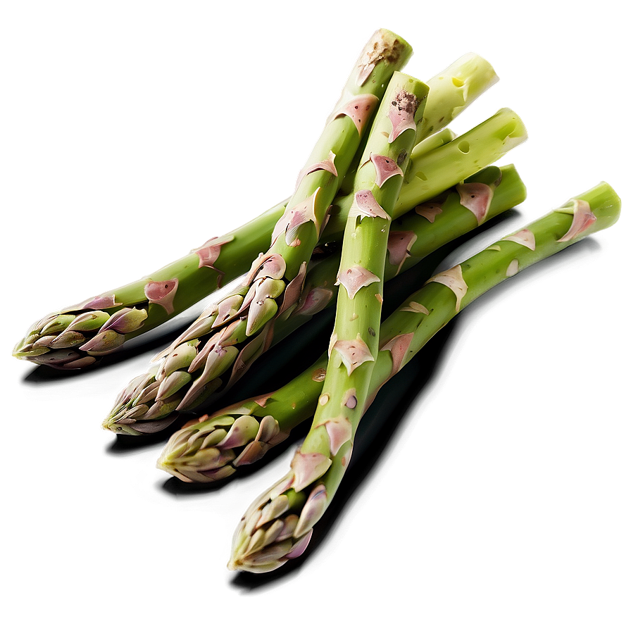 Asparagus D