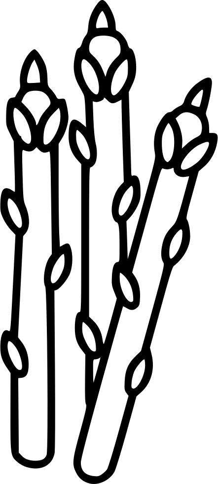 Asparagus Stalks Line Art