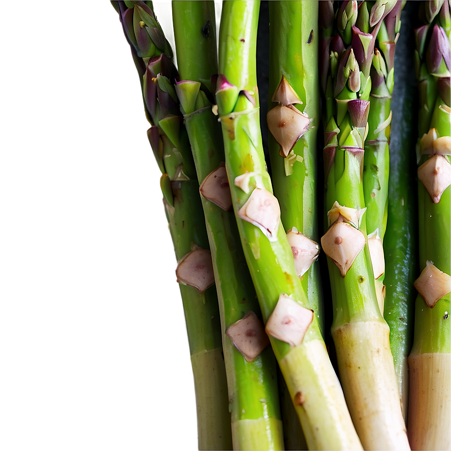 Asparagus Stir Fry Png Srv