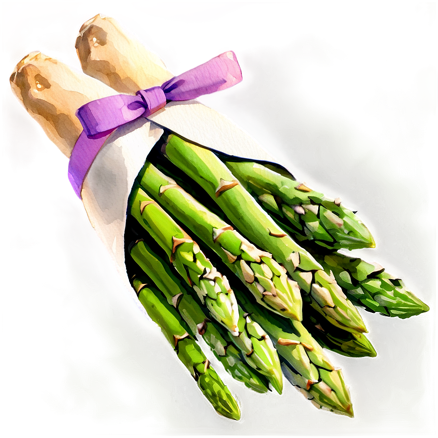 Asparagus Watercolor Style Png Cuj