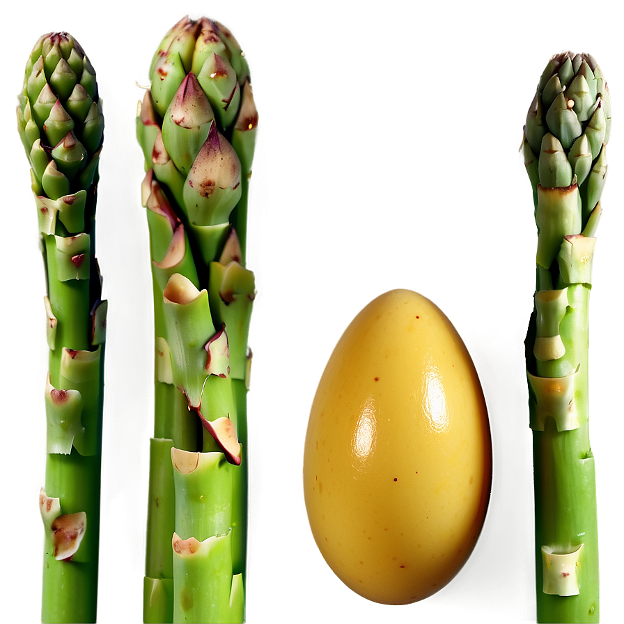 Asparagus With Eggs Png 56