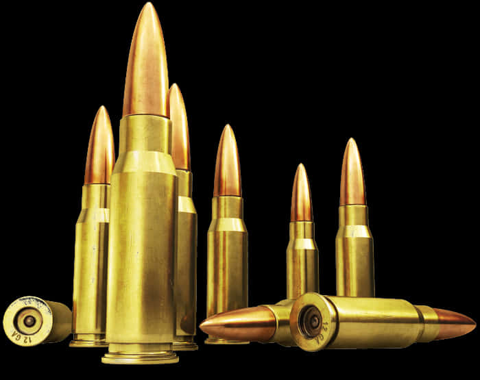 Assorted Ammunition Black Background