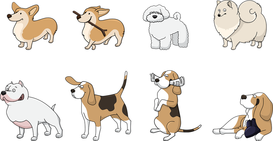 Assorted Cartoon Dog Breeds Illustration