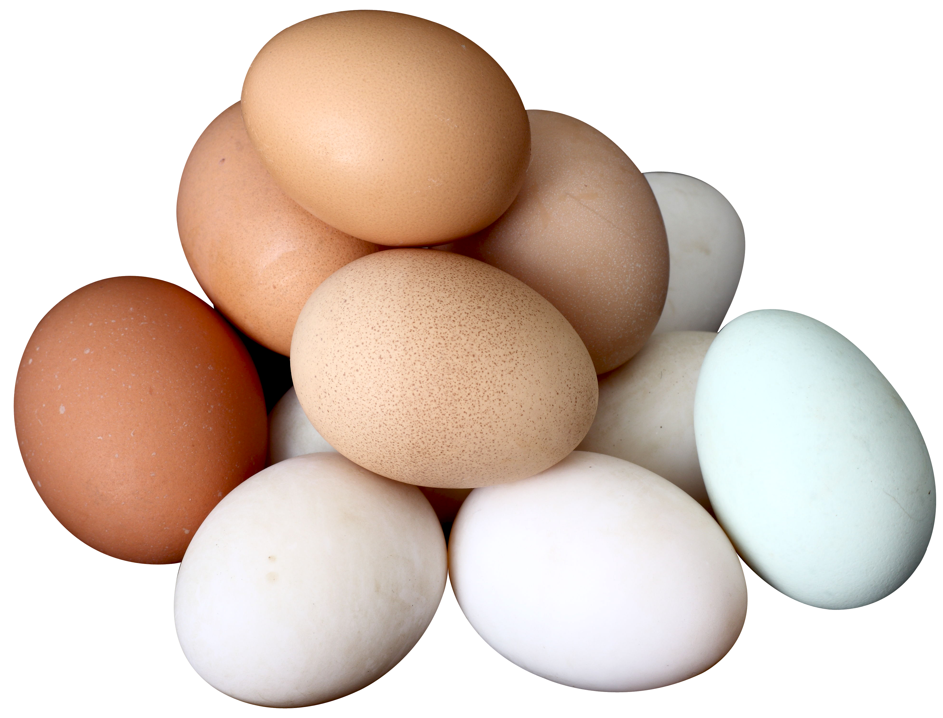 Assorted Chicken Eggs Variety