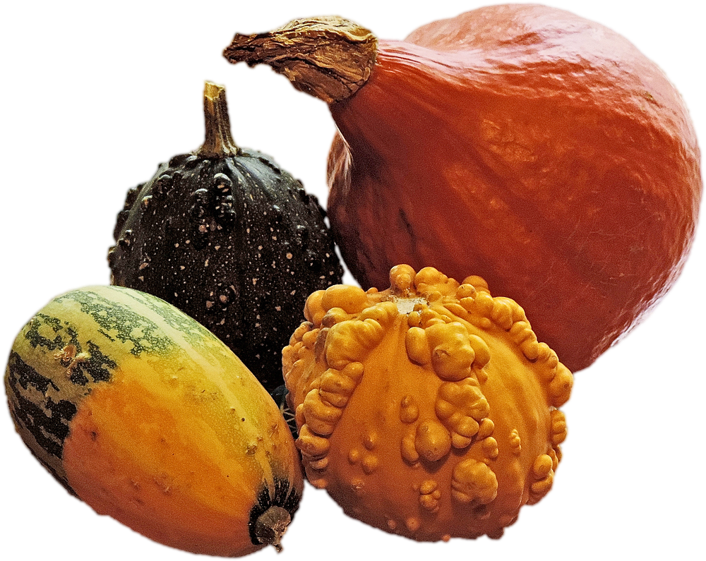 Assorted Decorative Squash Varieties