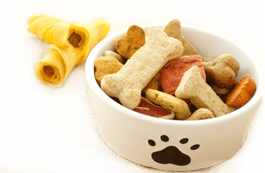 Assorted Dog Treatsand Chews