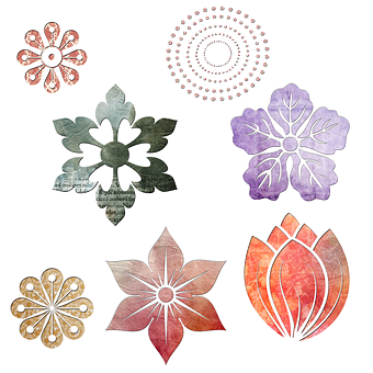 Assorted Floral Designs Black Background