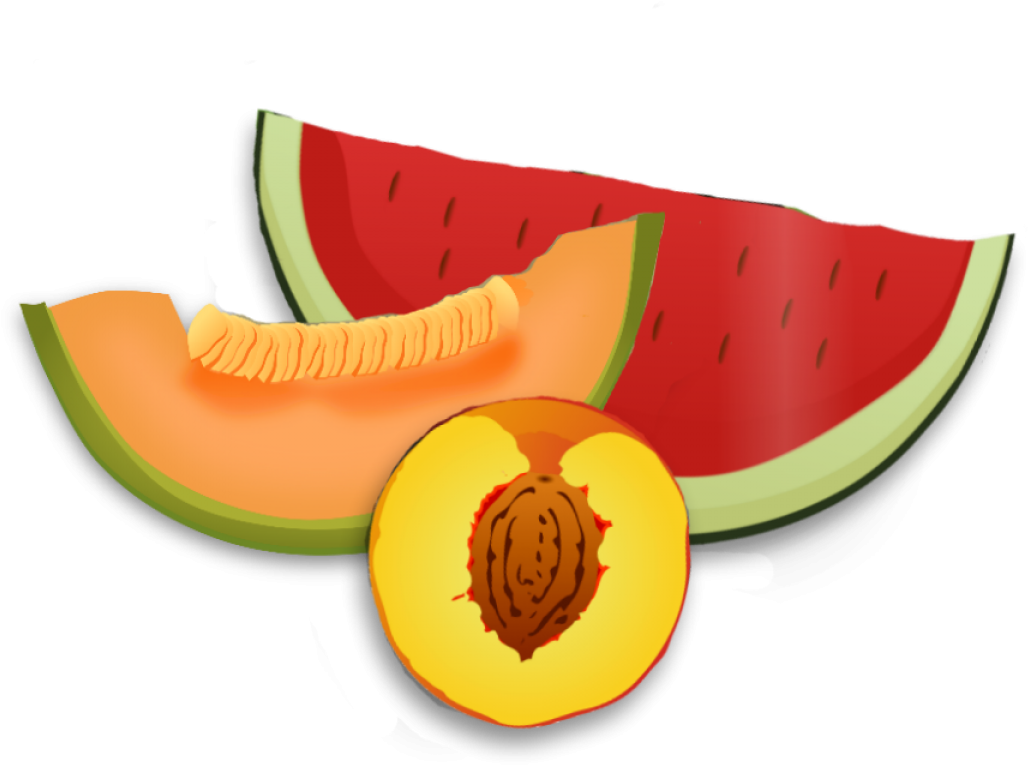 Assorted Fresh Fruit Slices Illustration