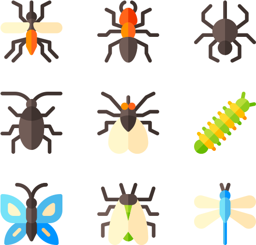 Assorted Insect Icons Set