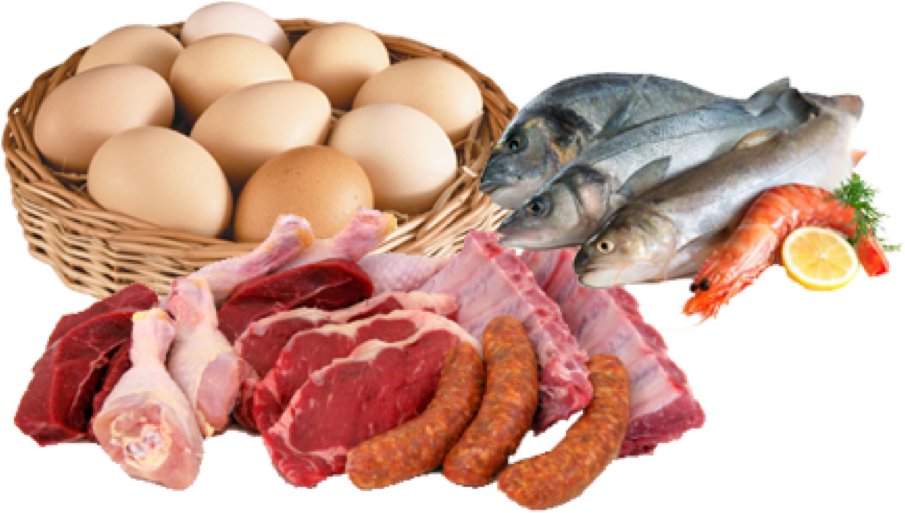 Assorted Protein Sources