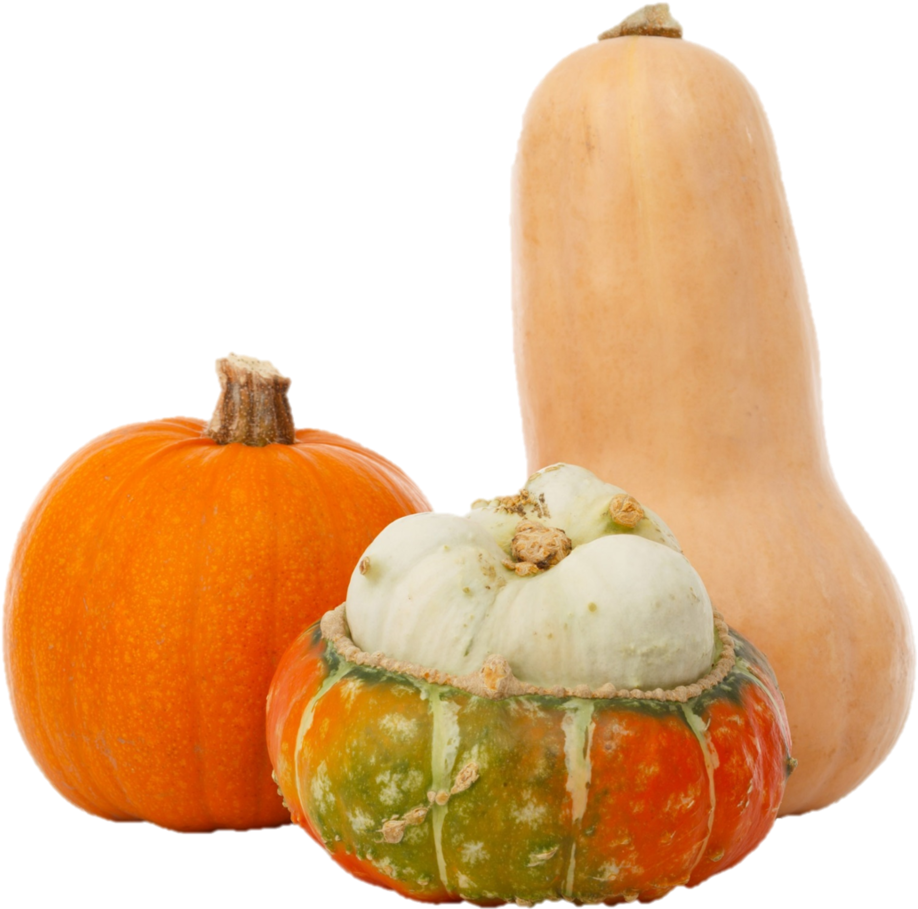 Assorted Squash Varieties