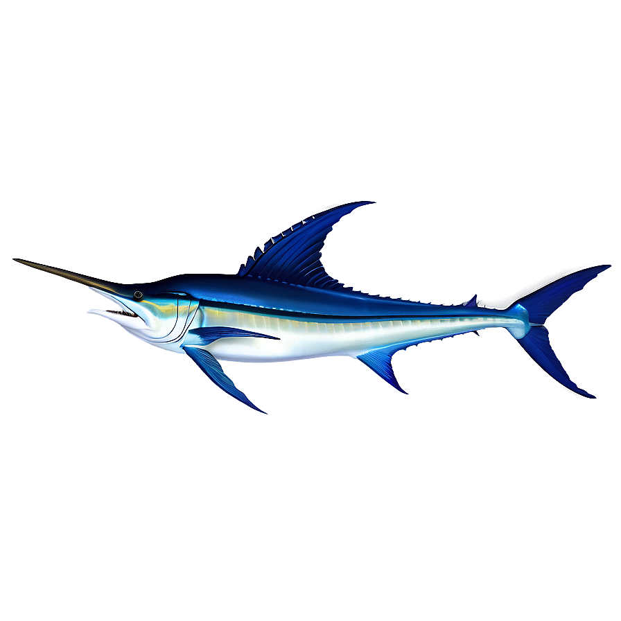 Atlantic Blue Marlin Png Bli