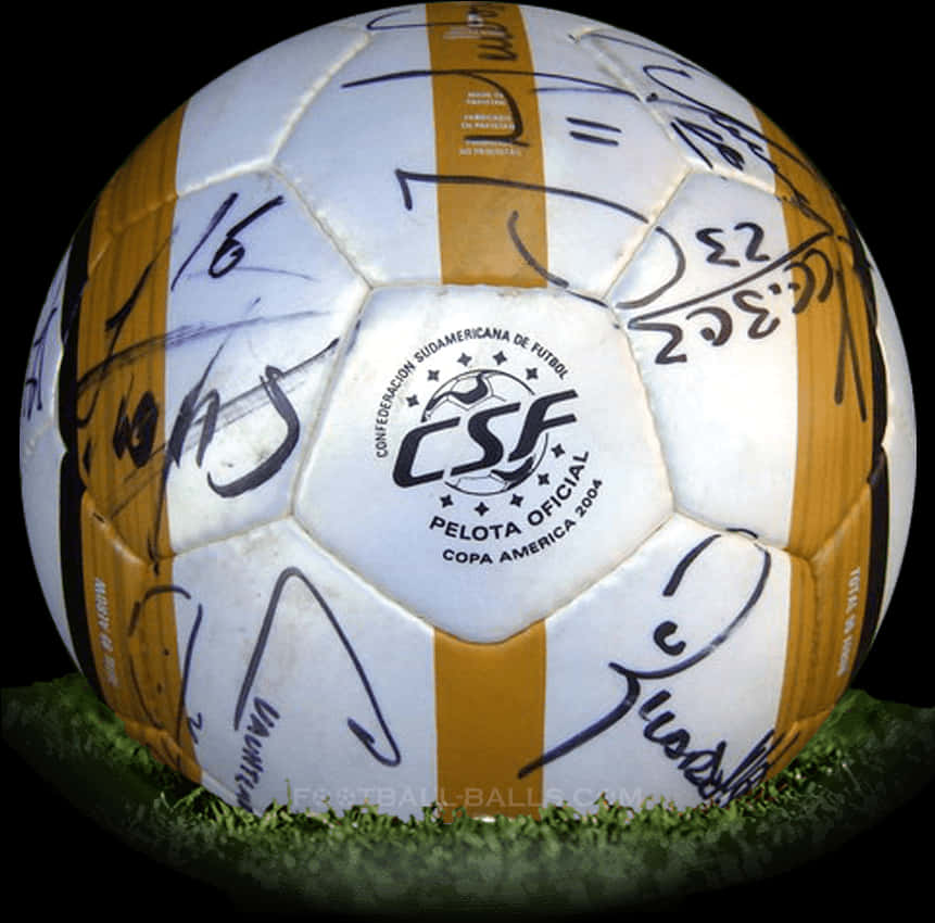 Autographed Soccer Ball Copa America