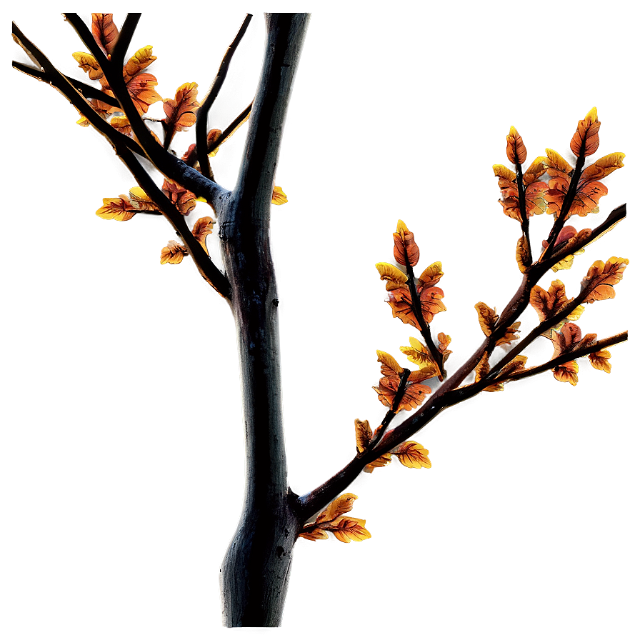 Autumn Branches Png Ohv24