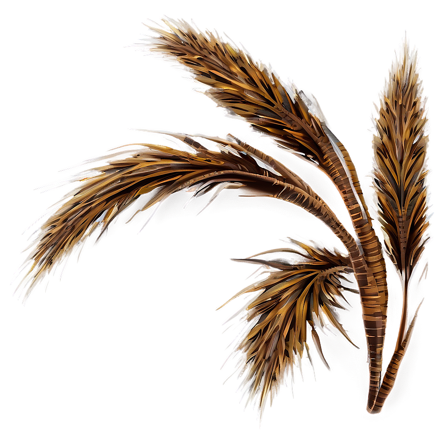 Autumn Brown Grass Png 42