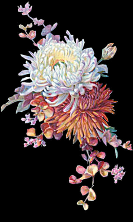 Autumn Chrysanthemum Illustration