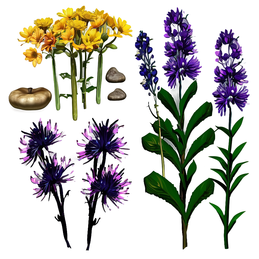 Autumn Garden Flowers Png 06272024