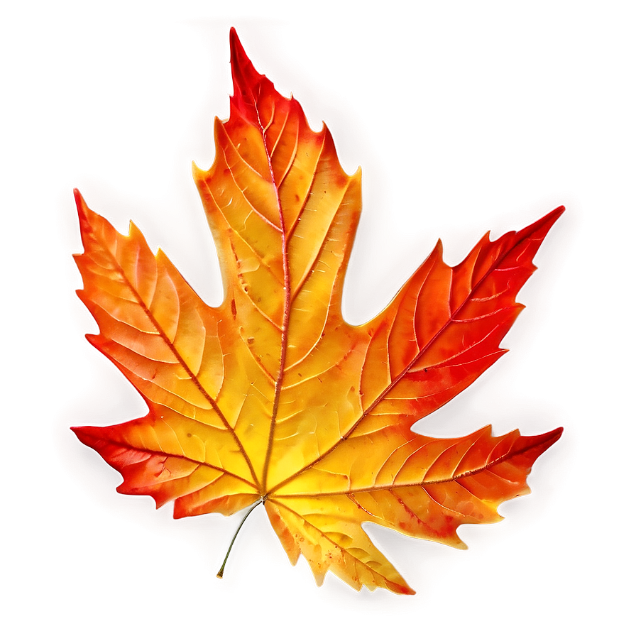 Autumn Leaf Background Png 06202024