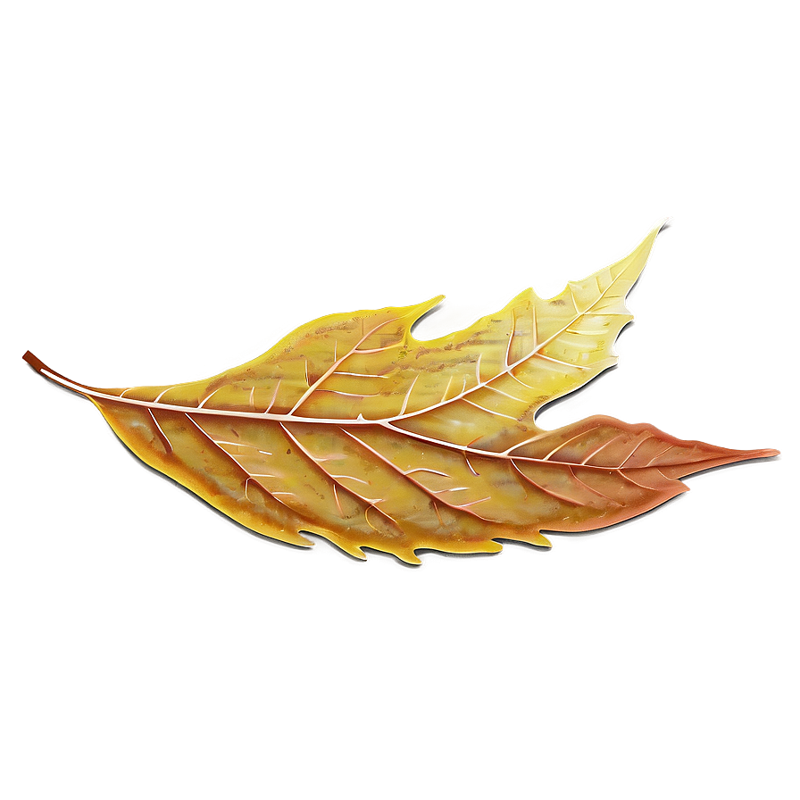 Autumn Leaf On Water Png 93