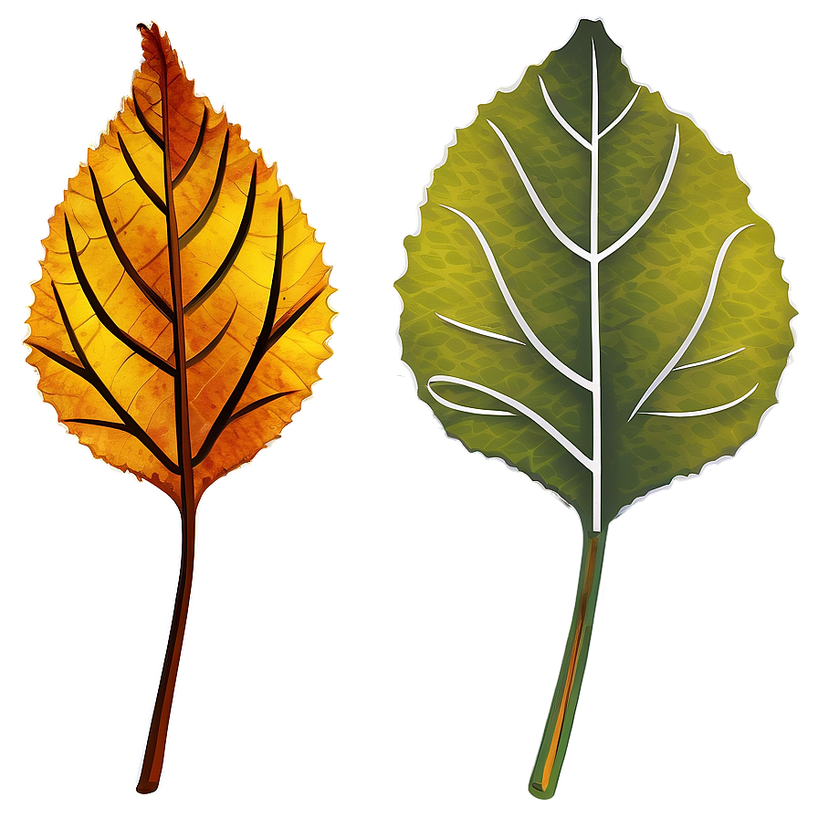 Autumn Leaf Outline Png Bhp