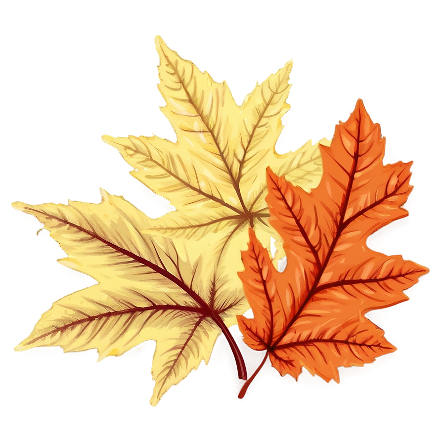 Autumn Leaf Sketch Png Tbk47