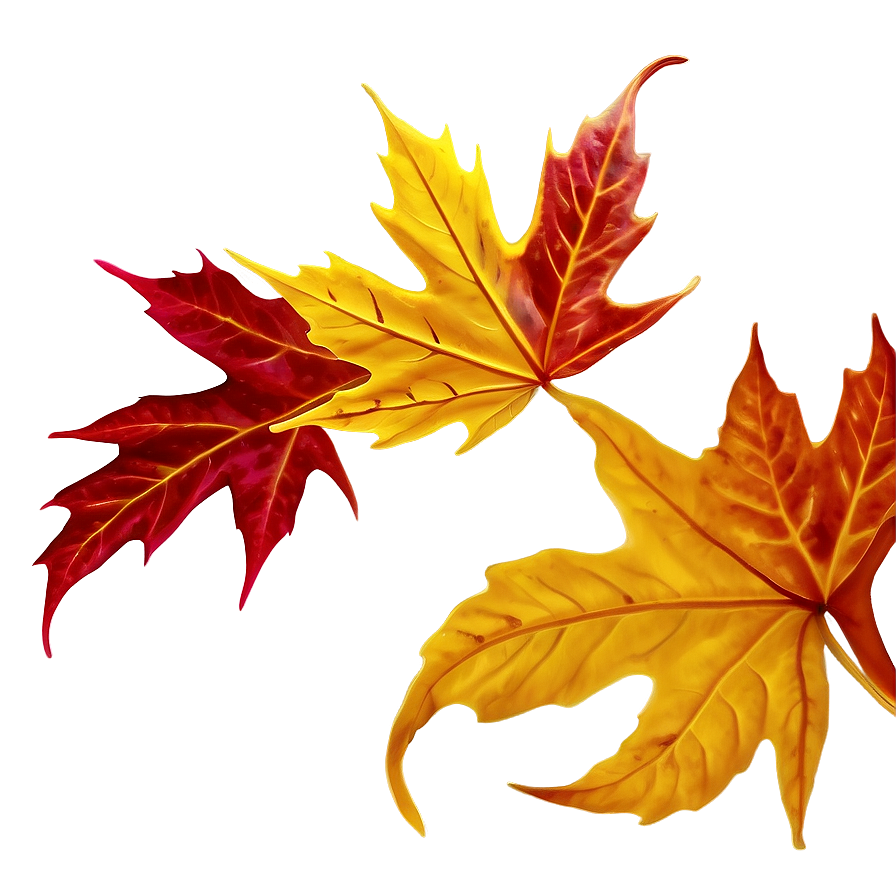 Autumn Leaf Swirl Png Htx