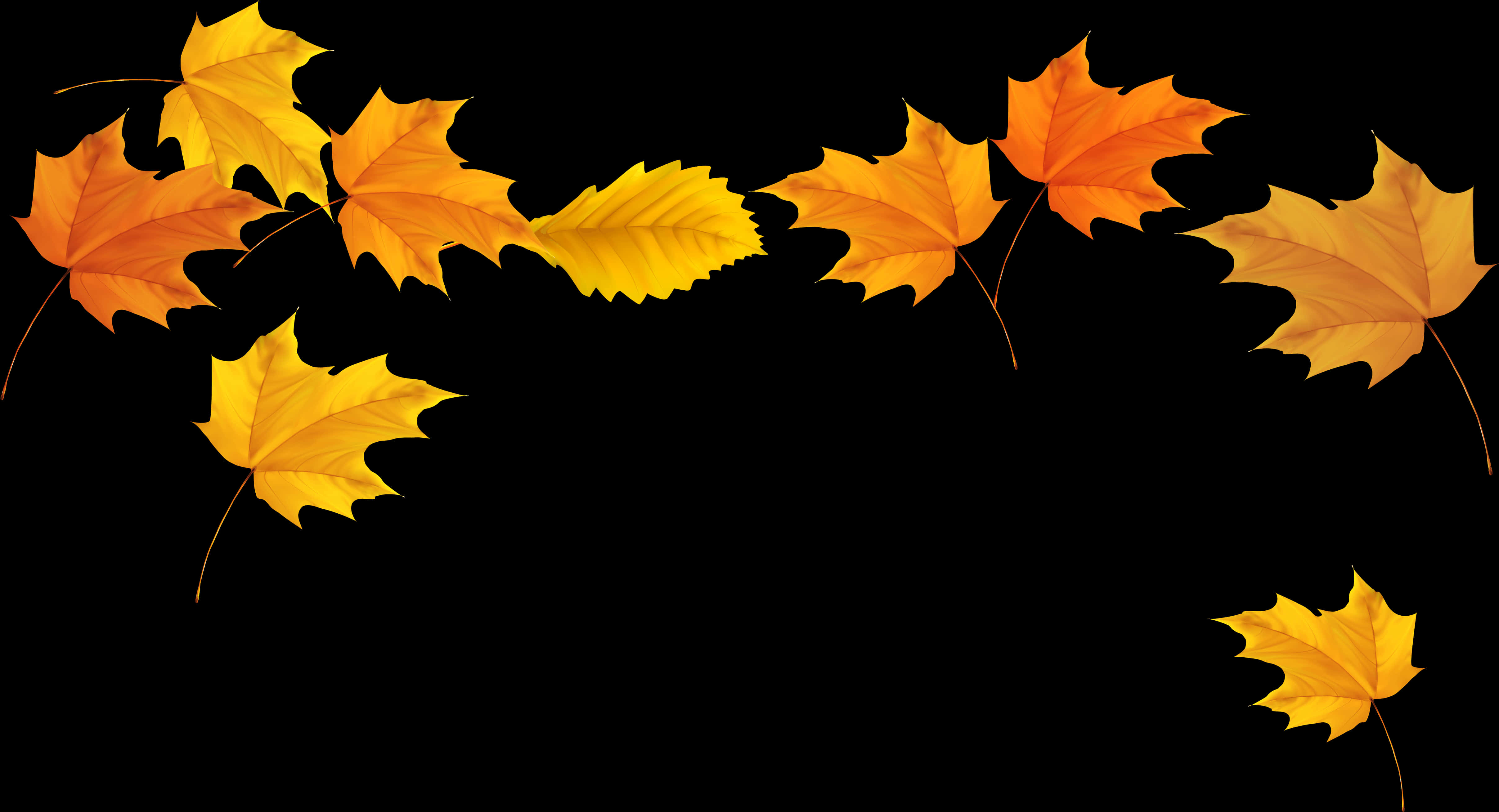 Autumn_ Leaves_ Against_ Black_ Background.jpg