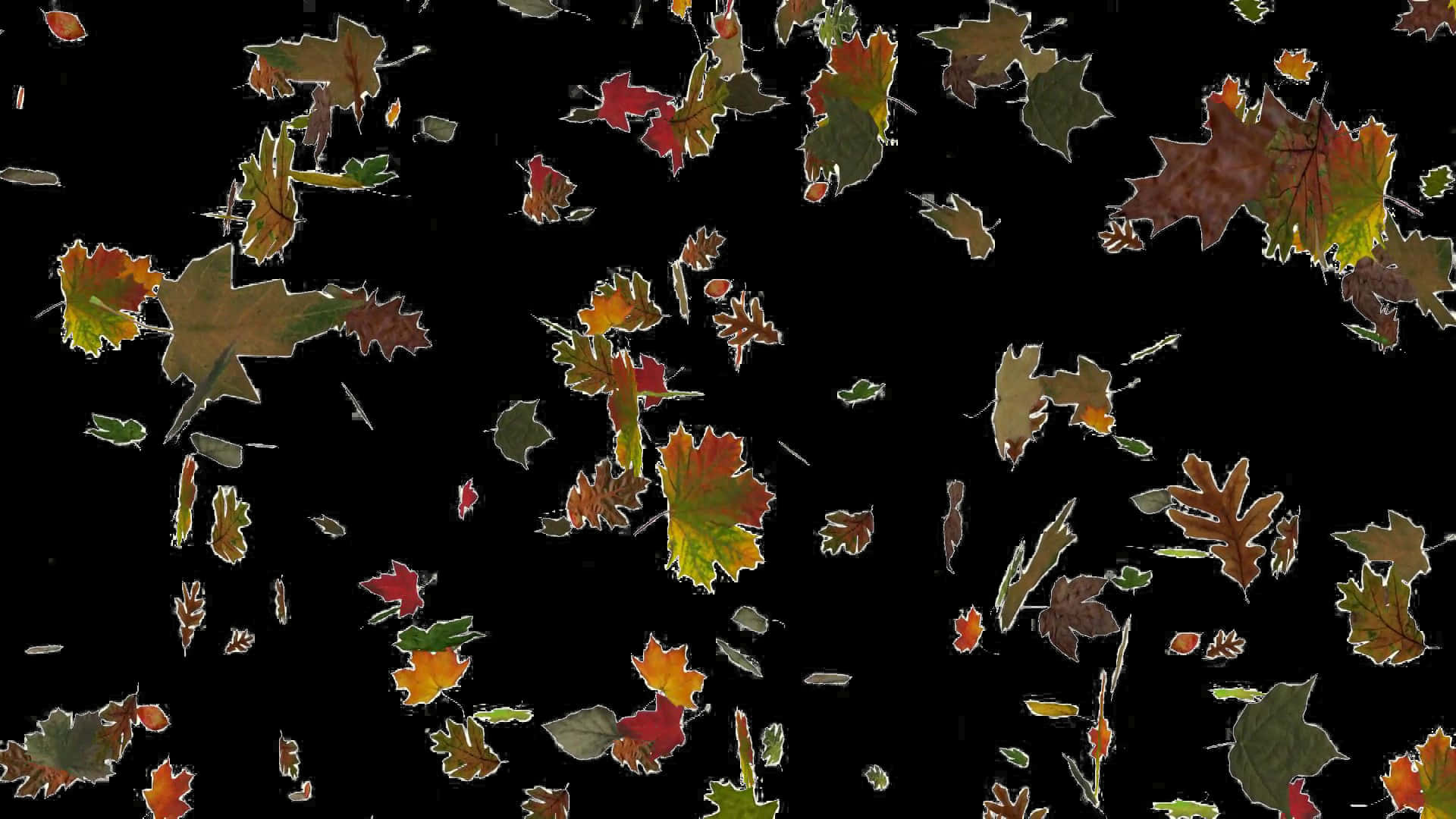 Autumn_ Leaves_ Against_ Dark_ Background.jpg