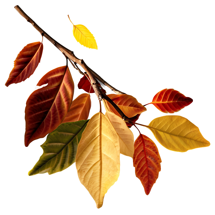 Autumn Leaves Background Png 62