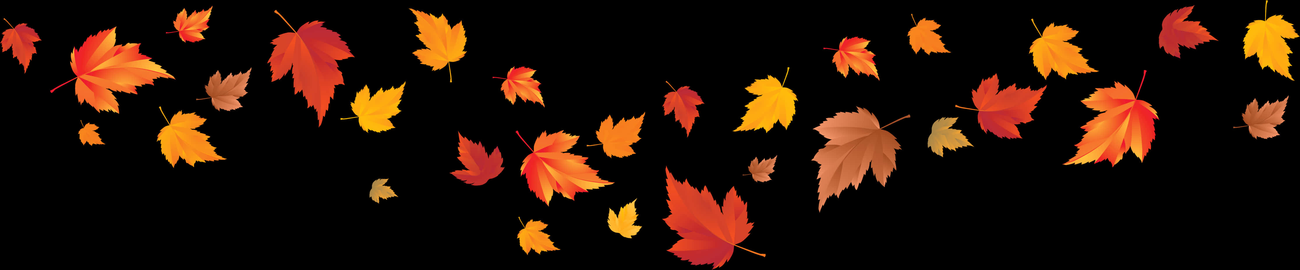 Autumn_ Leaves_ Black_ Background