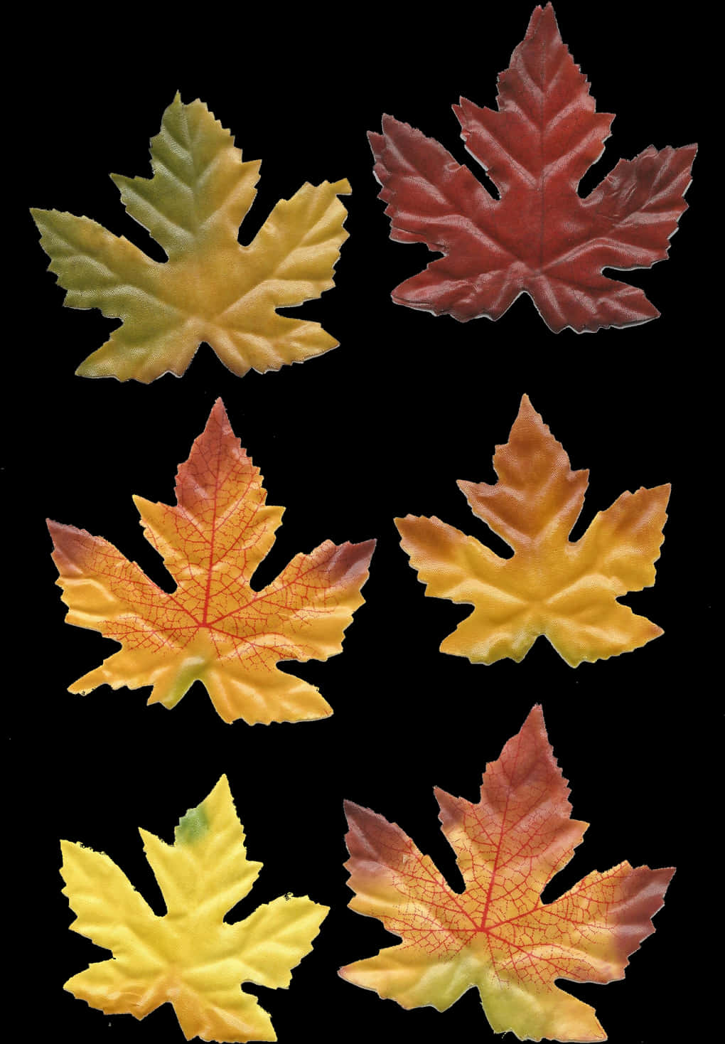 Autumn_ Leaves_ Collection.jpg