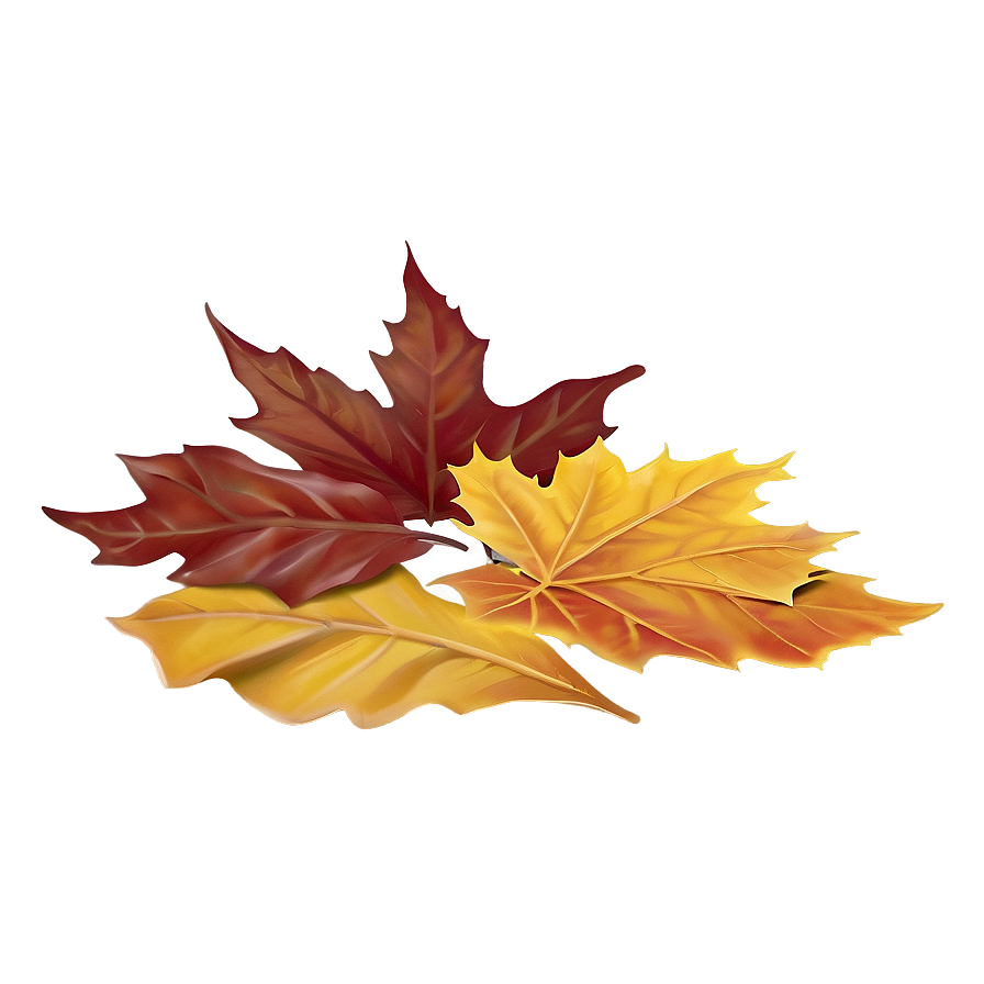 Autumn Leaves Drift Png 06132024