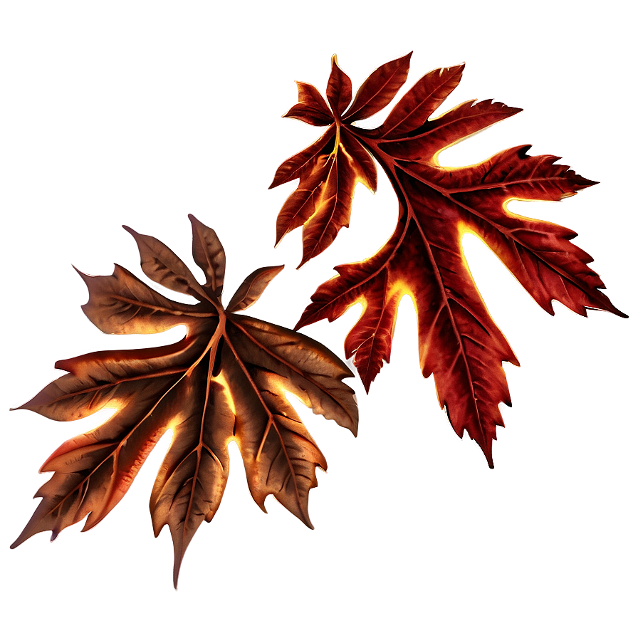 Autumn Leaves Effect Png 31