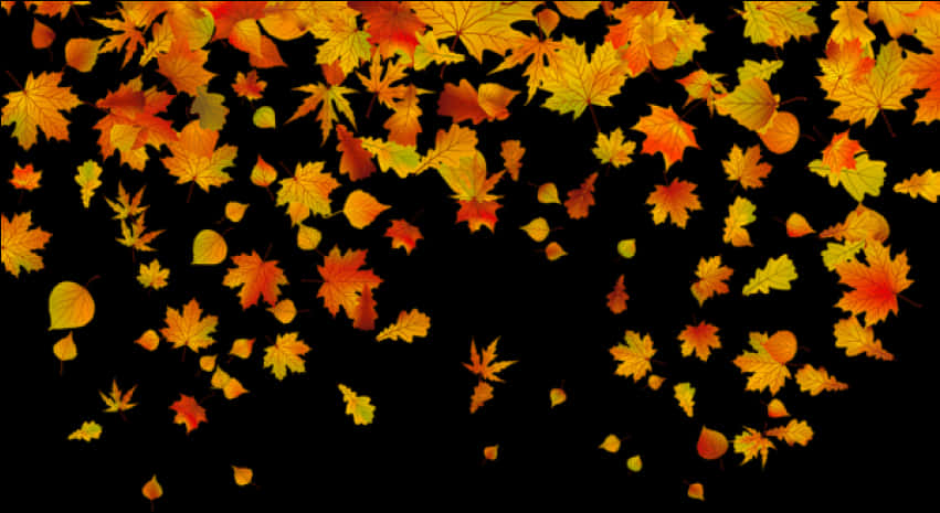 Autumn Leaves Falling Black Background