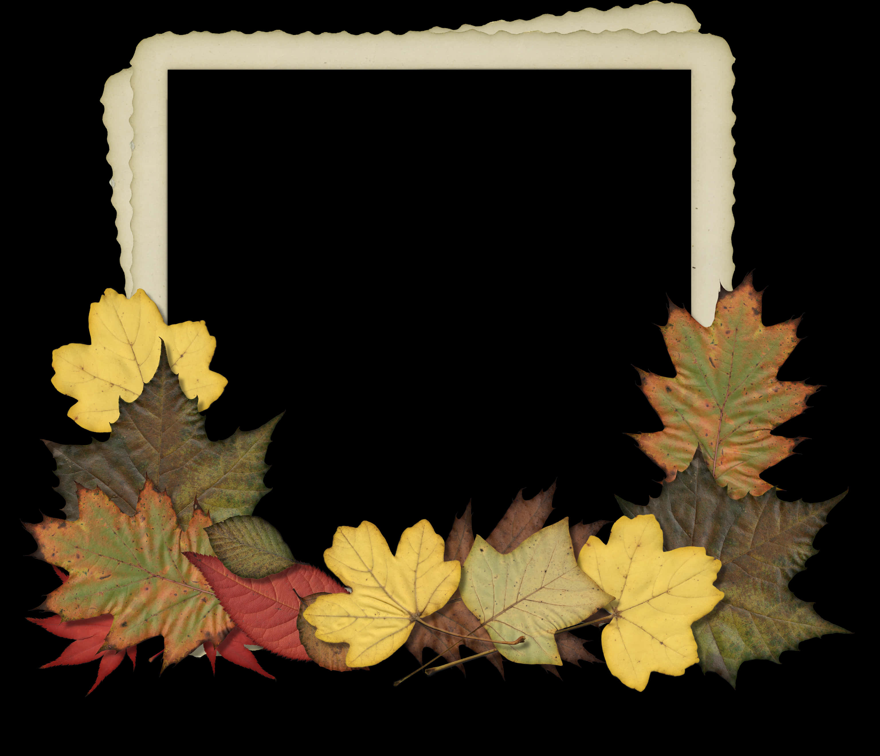 Autumn Leaves Photo Frame Design